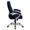 Emma and Oliver High Back Executive Ergonomic Office Chair with Silver Nylon Base and Arms